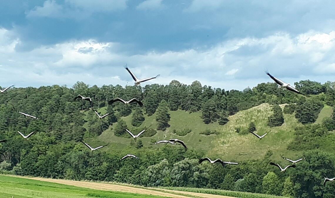 Sommerzeit Sommerzeit