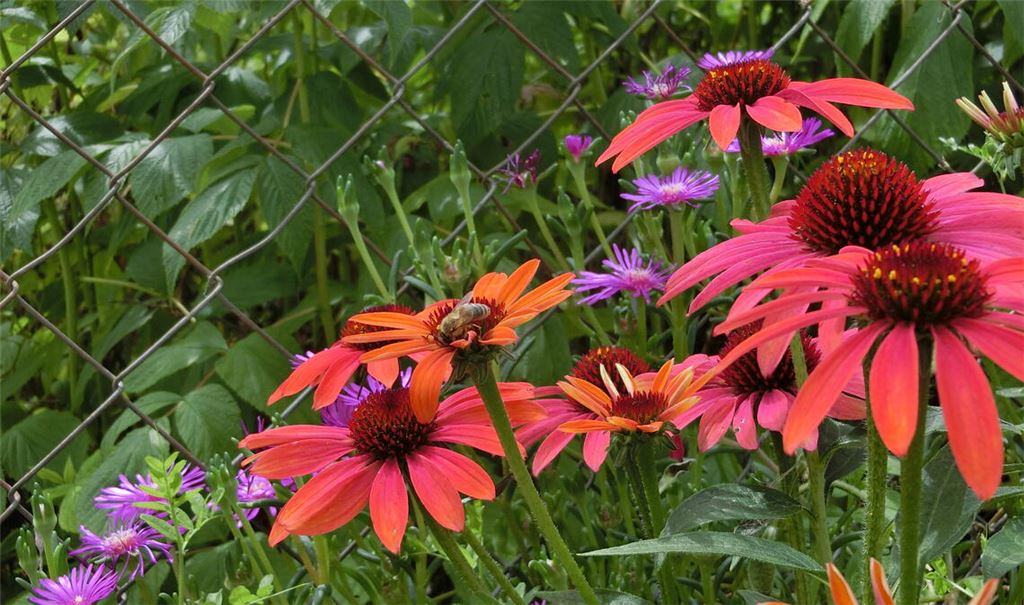 Sommerzeit