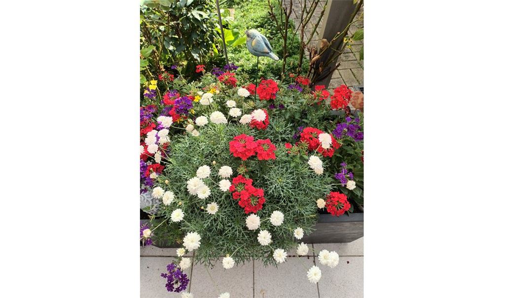 Sommerzeit
