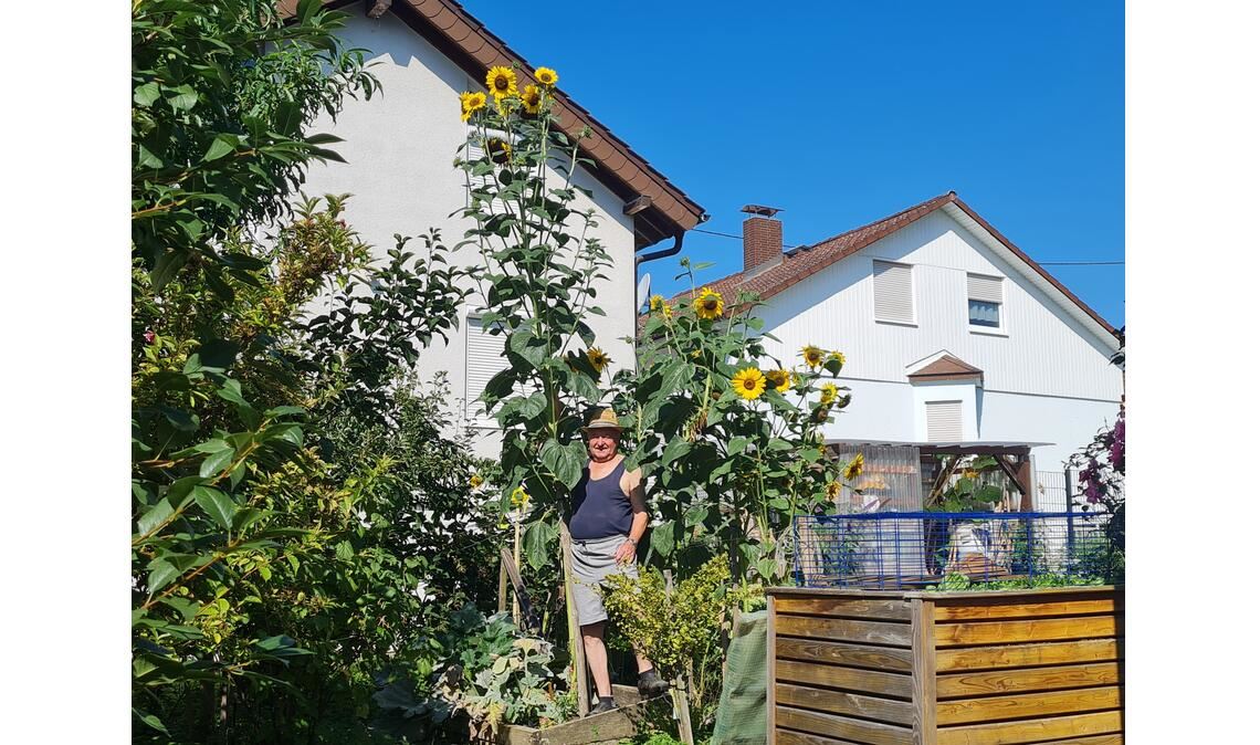 Sommerzeit