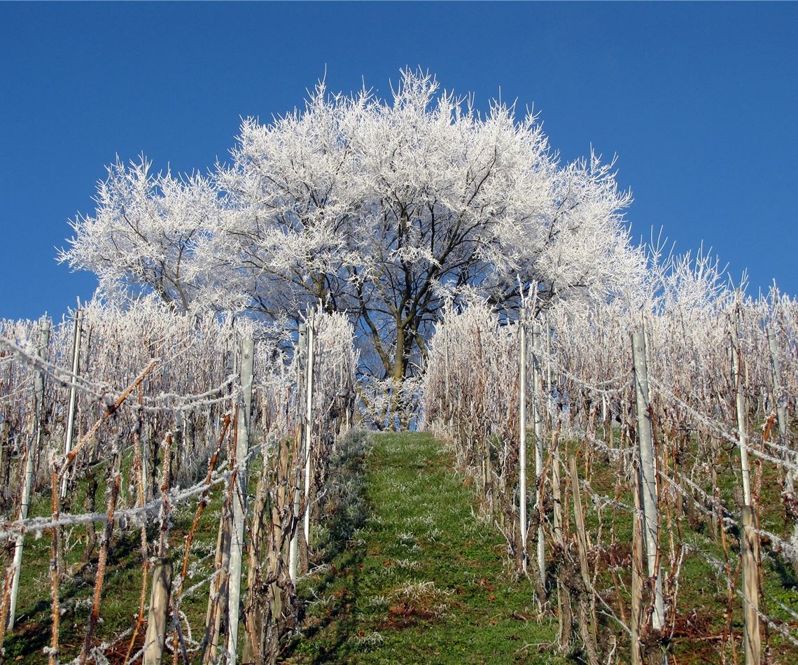 Winterzeit