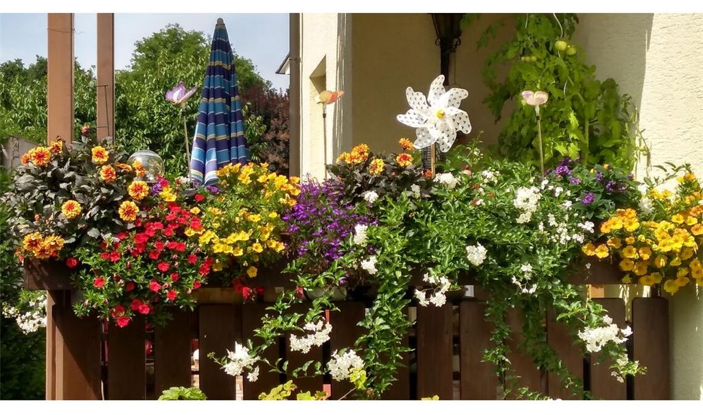 Sommerzeit