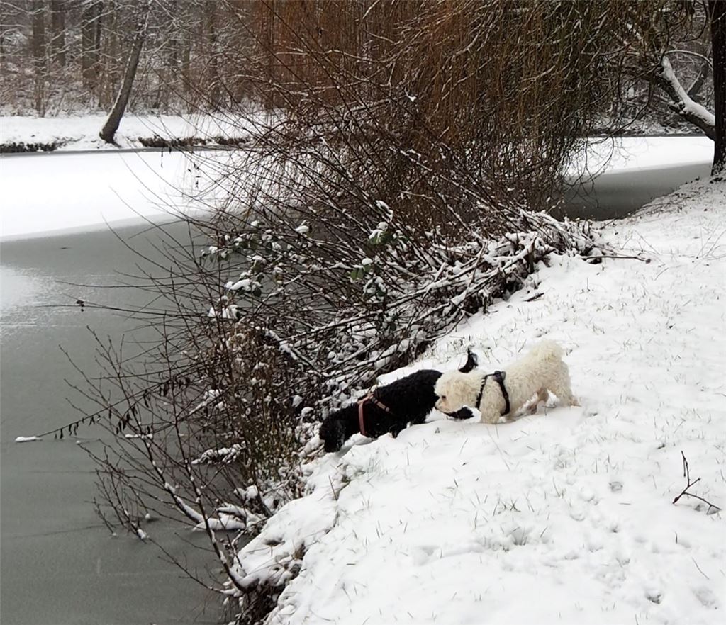 Winterzeit