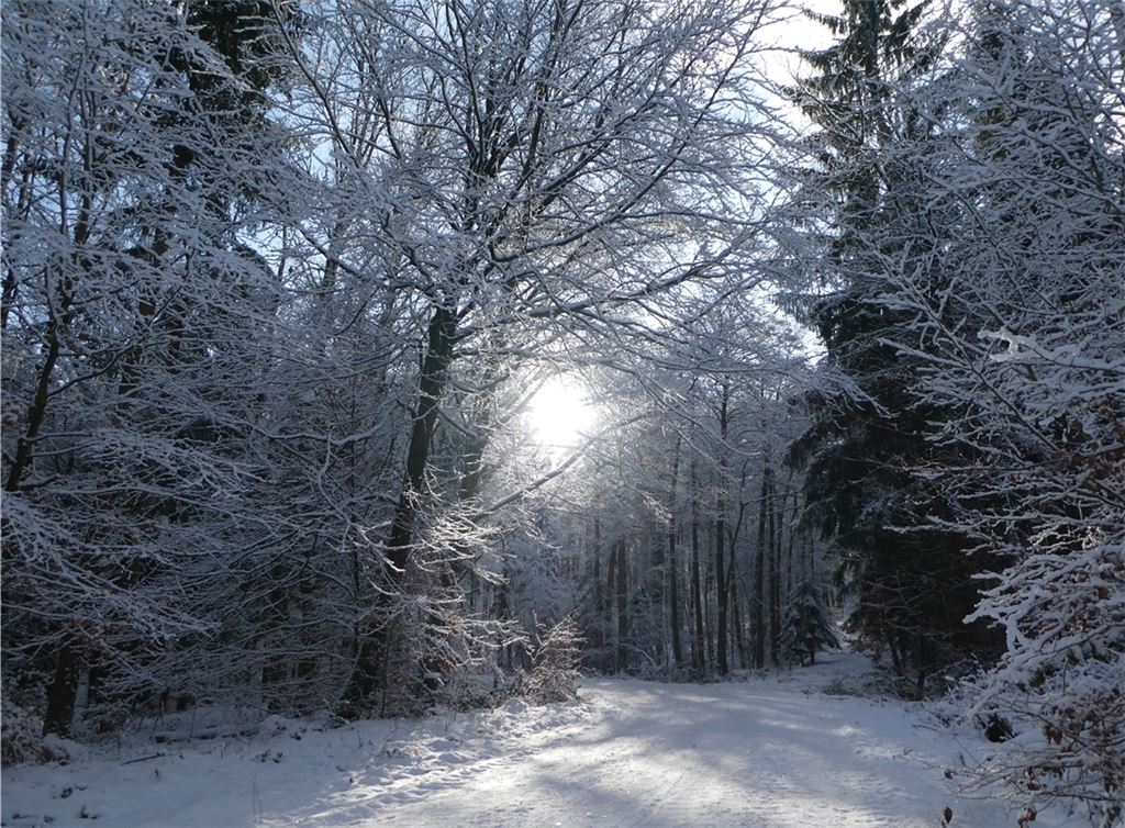 Winterzeit