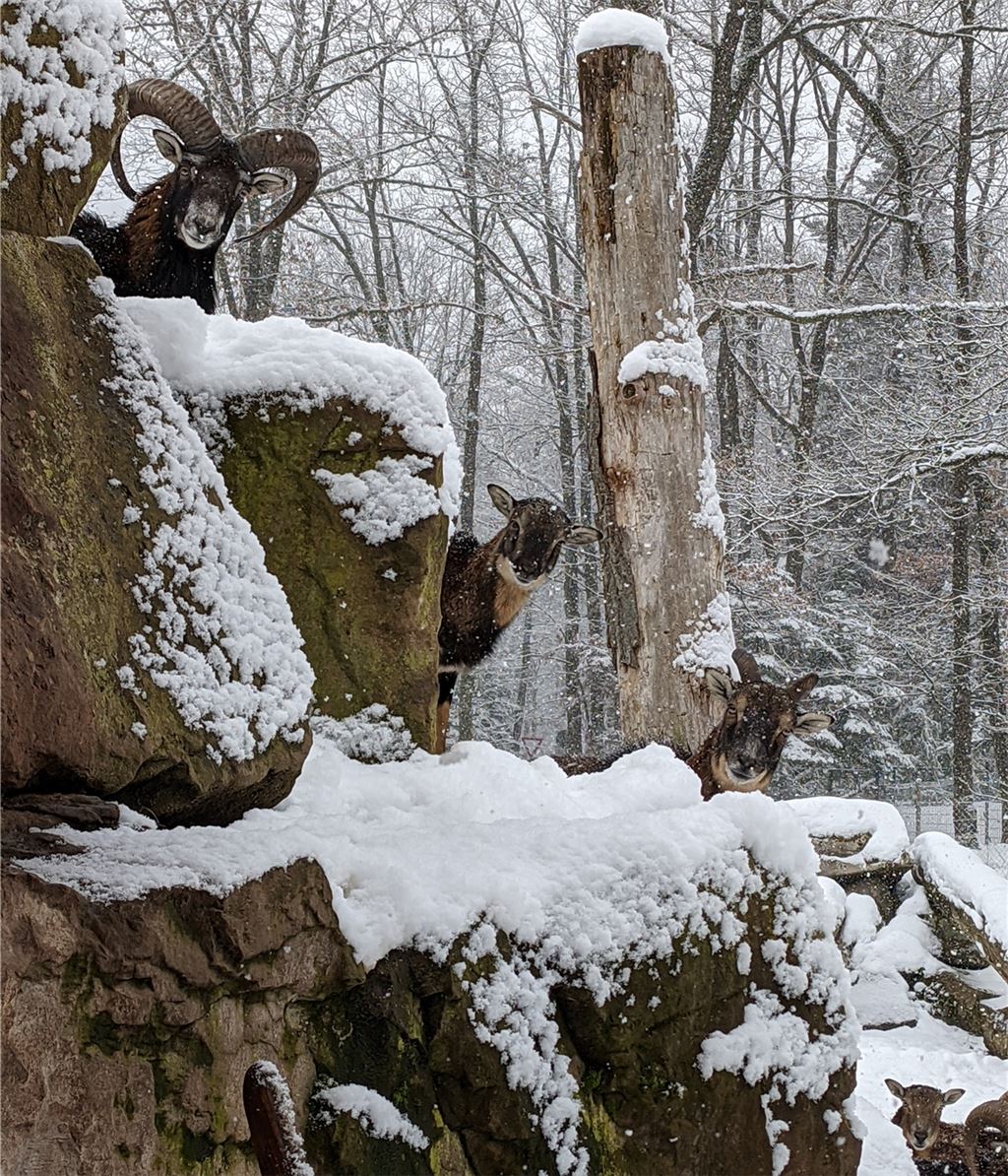 Winterzeit