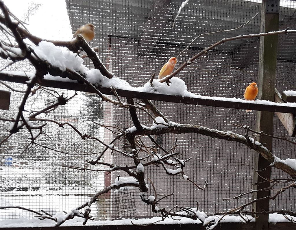 Winterzeit
