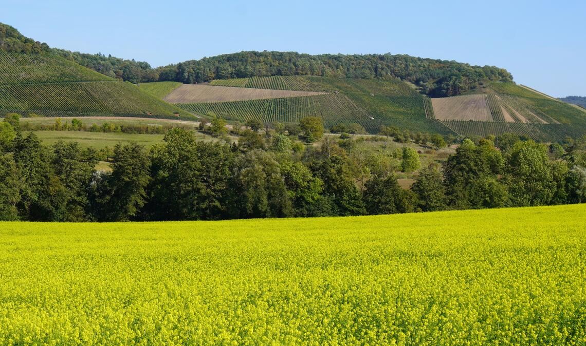 Herbstfarben Herbstfarben