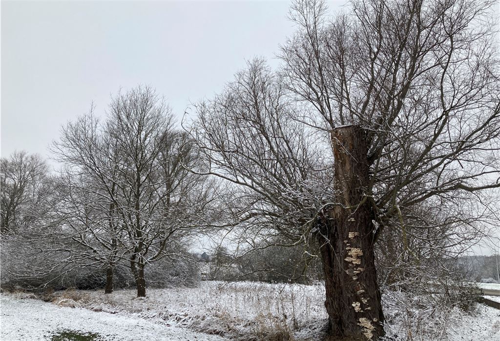 Winterzeit