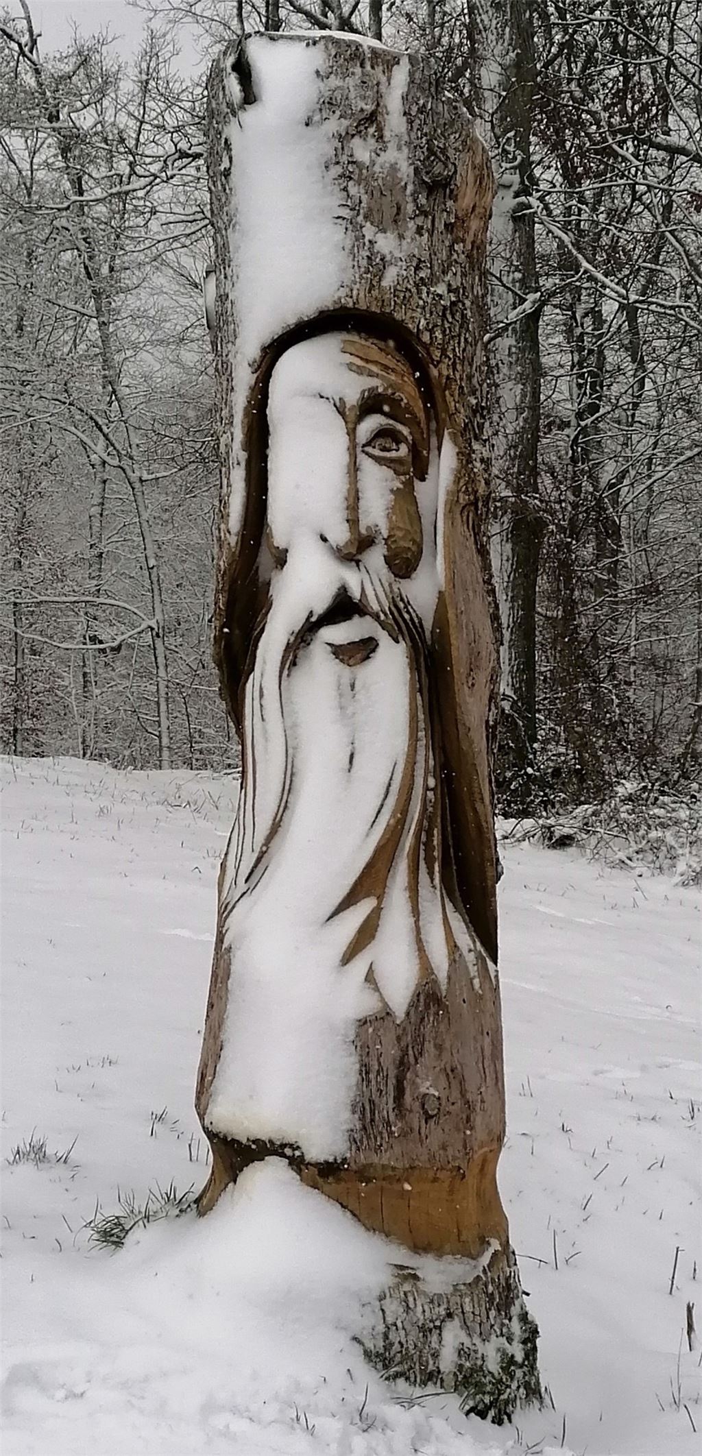 Wilde Fasnet
