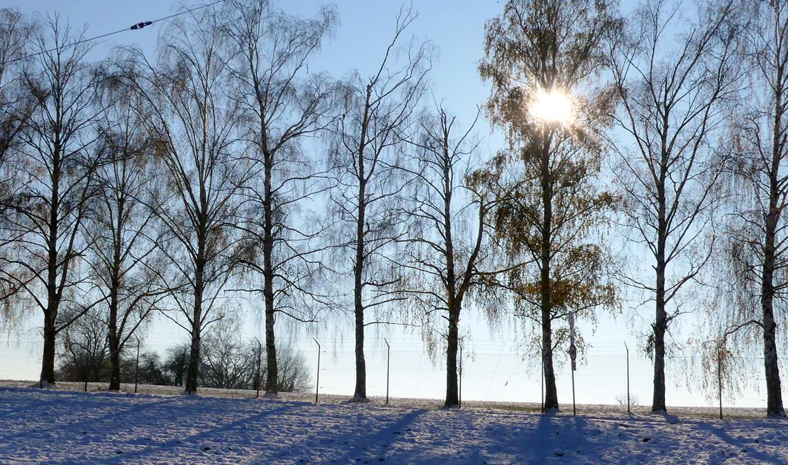 Kalenderfotos gesucht