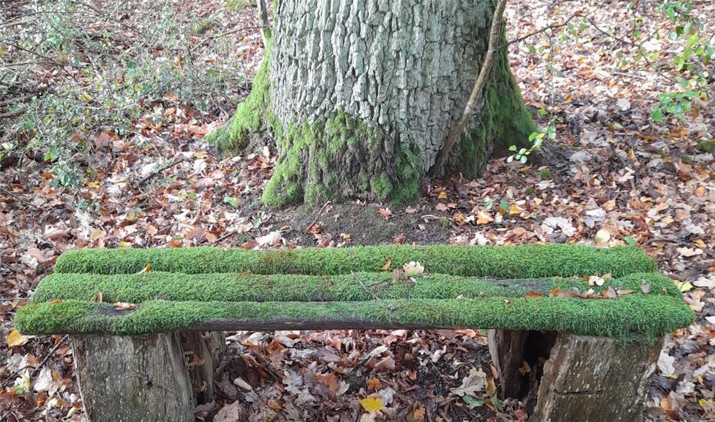 Herbstfarben