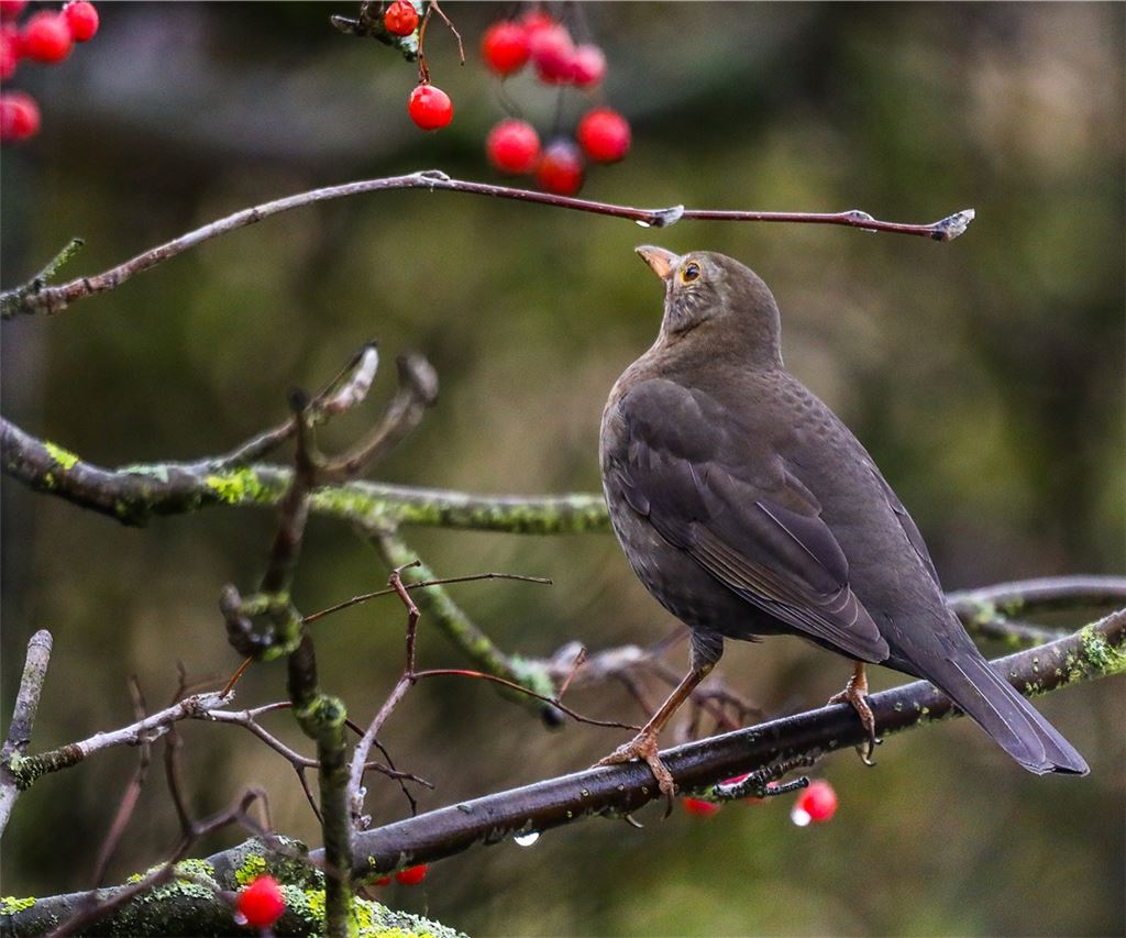 Winterzeit