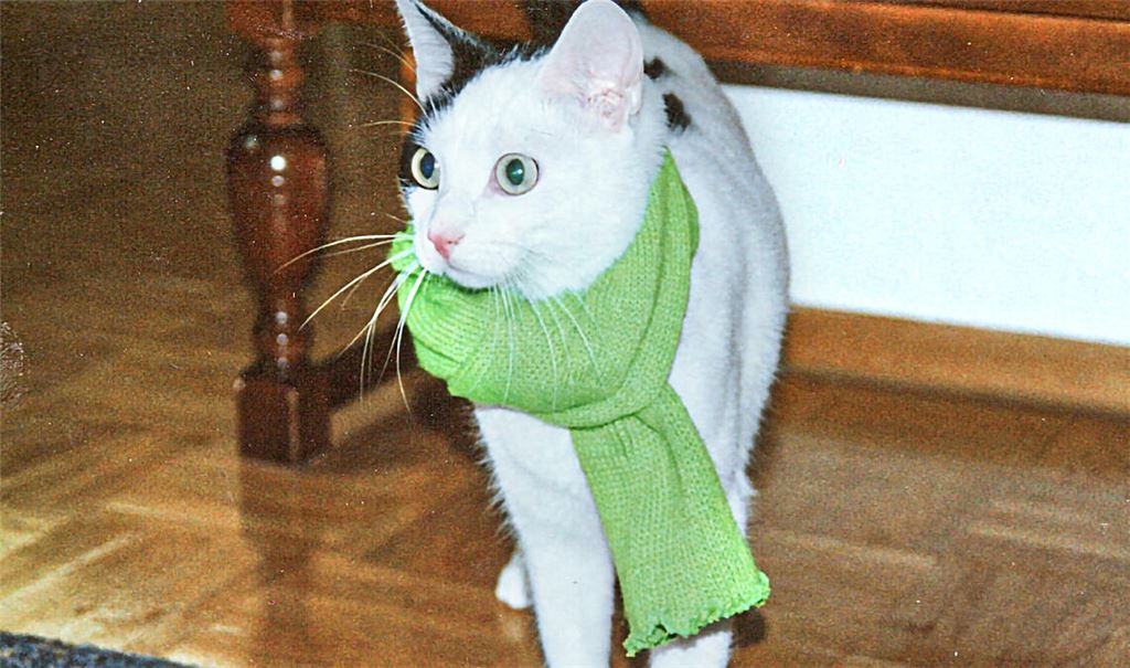 Winterzeit