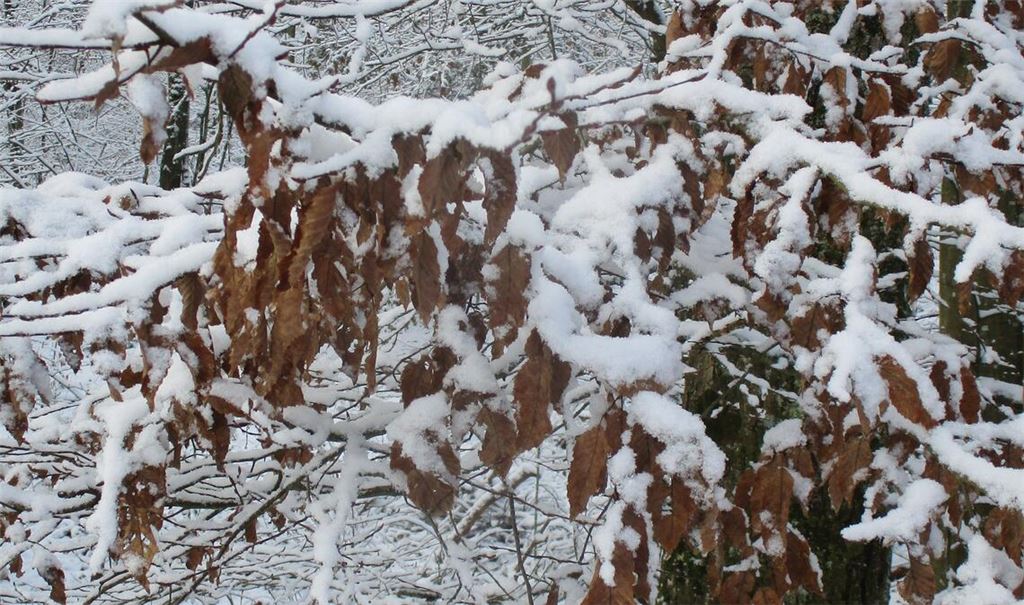 Winterzeit