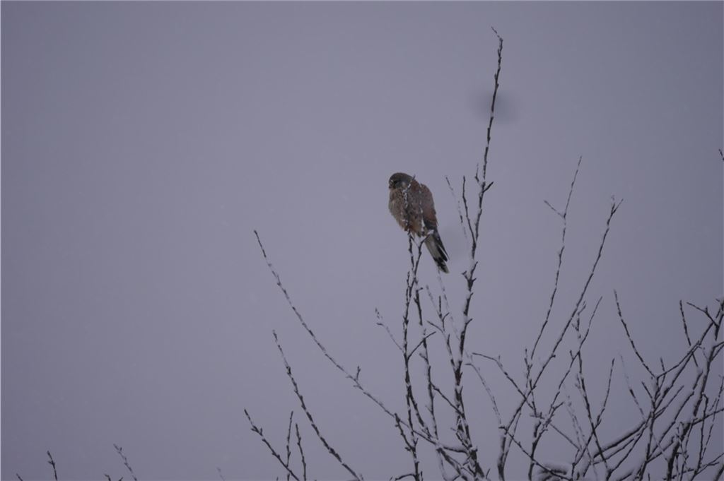 Winterzeit