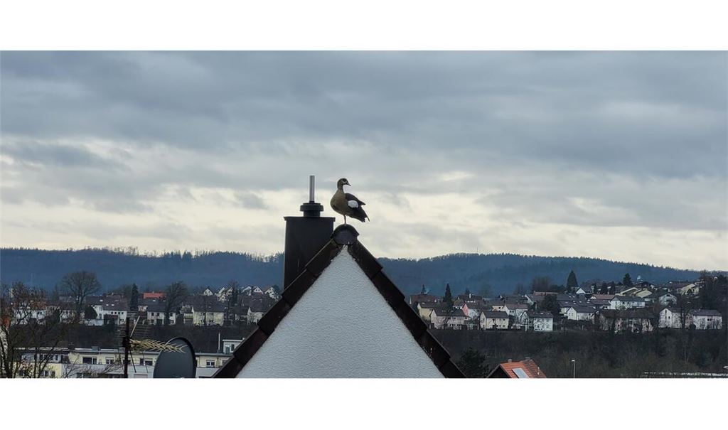 Winterzeit
