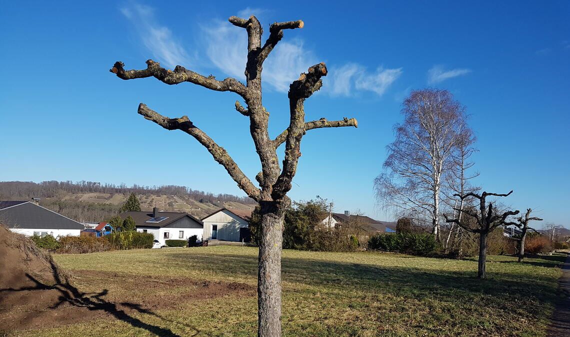 Winterzeit