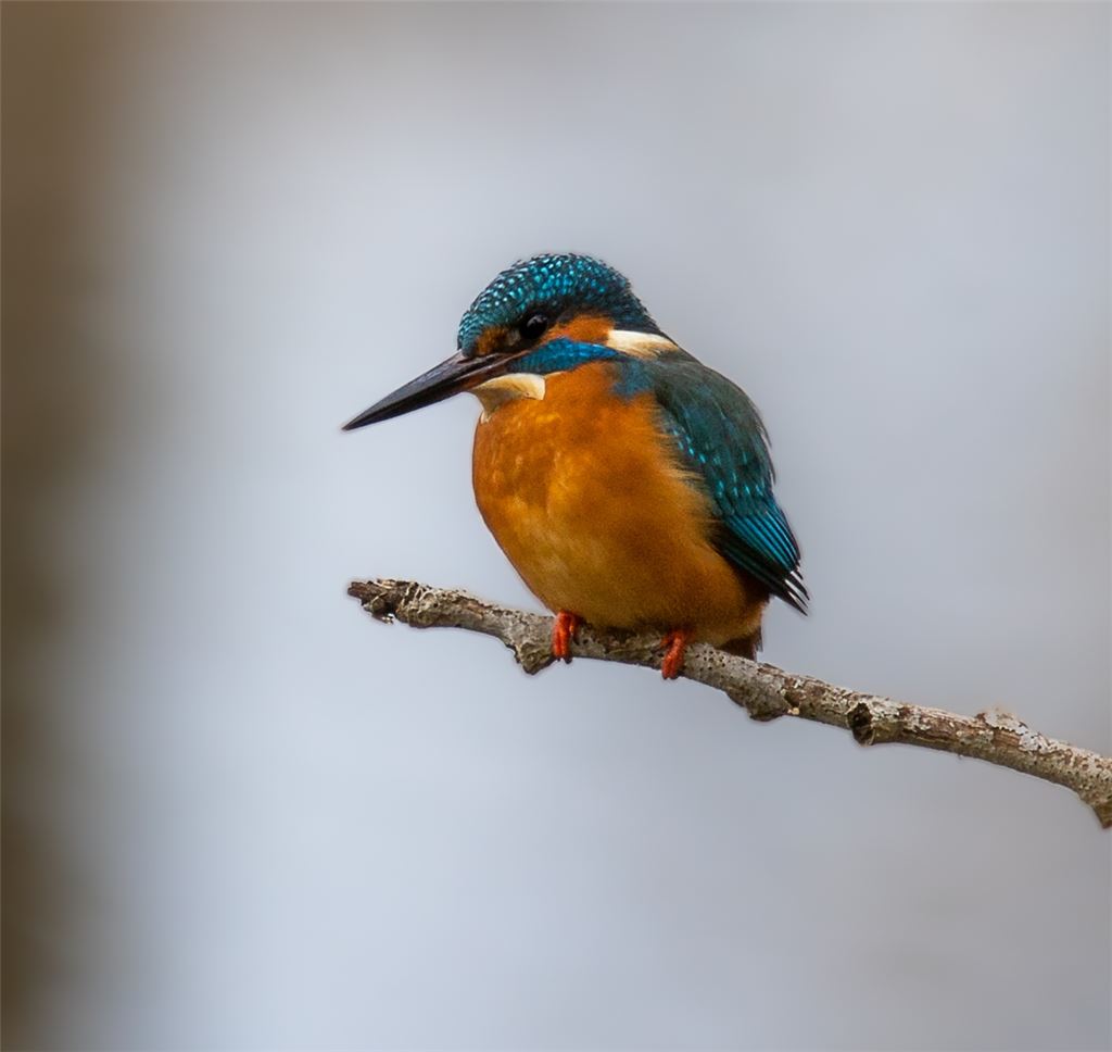 Winterzeit