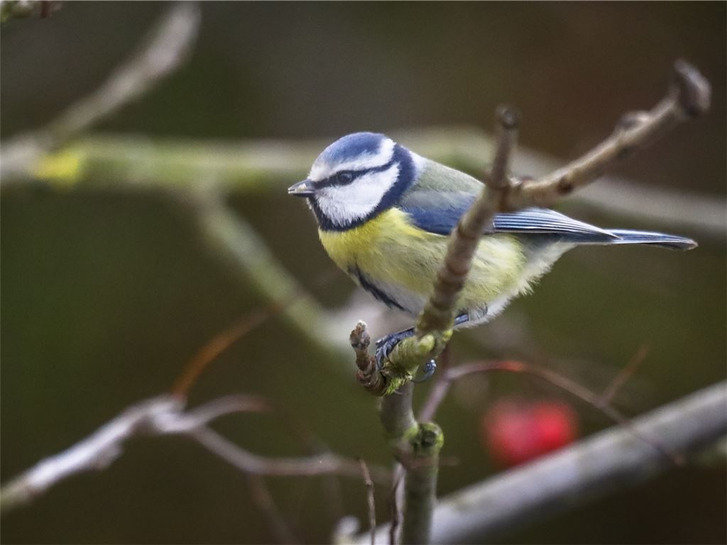 Winterzeit