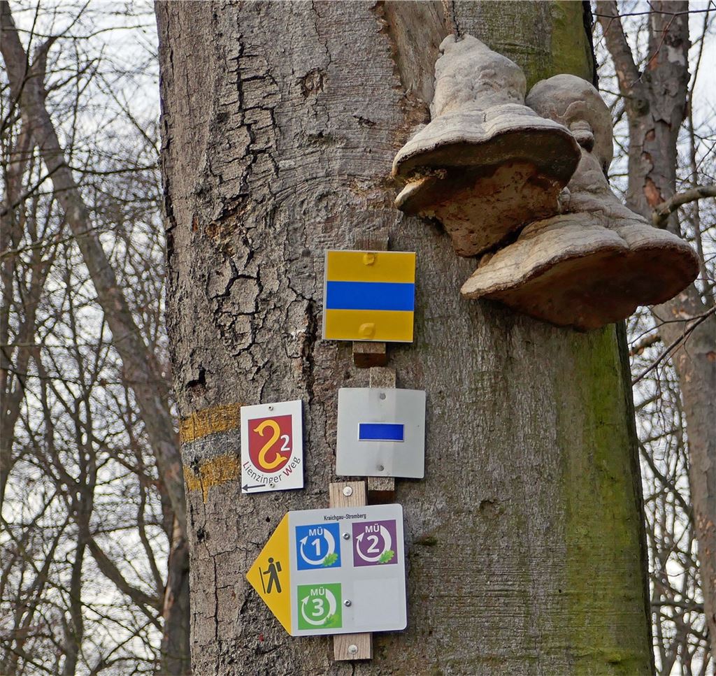 Winterzeit