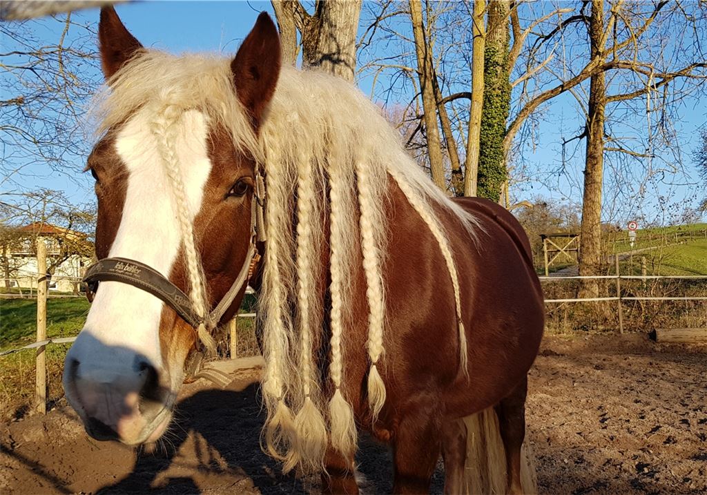 Winterzeit