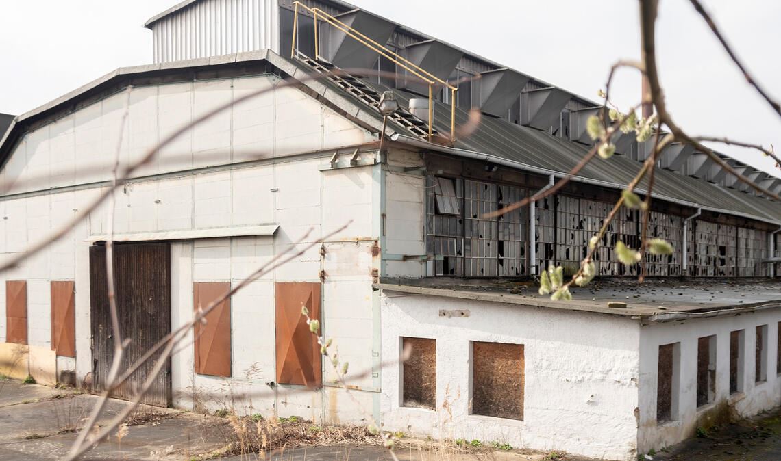 „Meilensteine“ fürs MWK-Areal