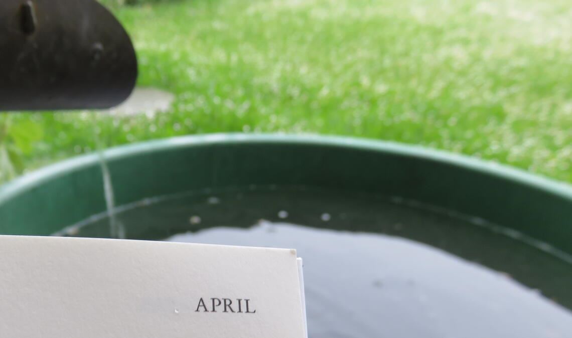 „Nennen Sie das nicht launisch“