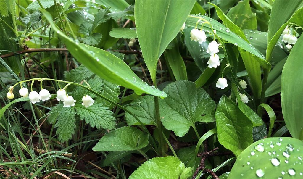 Frühlingsgefühle
