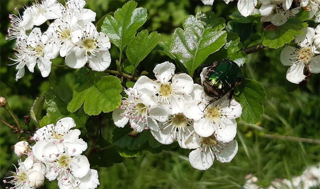 Frühlingsgefühle