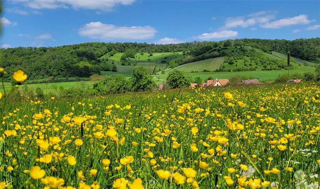 Frühlingsgefühle