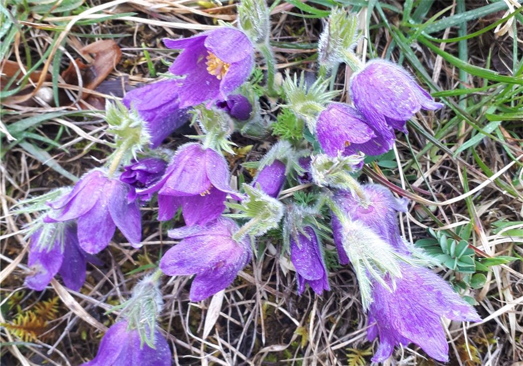 Winterzeit