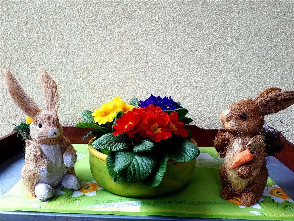 Frühlingsgefühle
