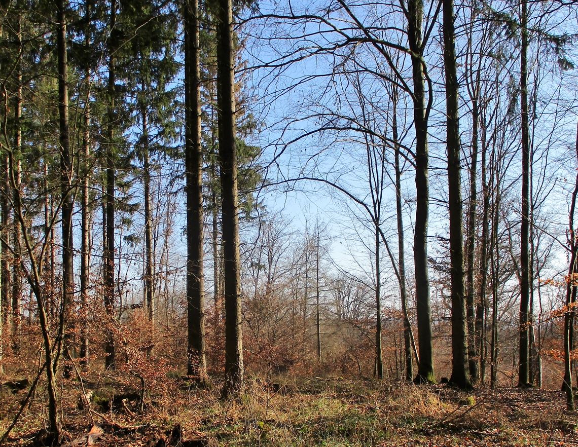 Frühlingsgefühle