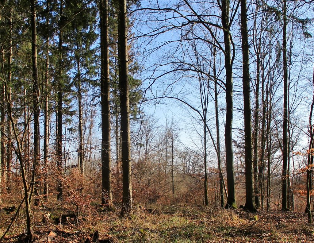 Frühlingsgefühle