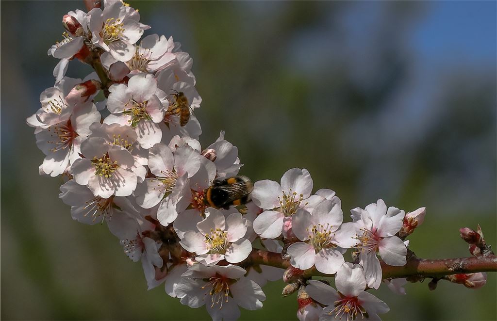 Frühlingsgefühle