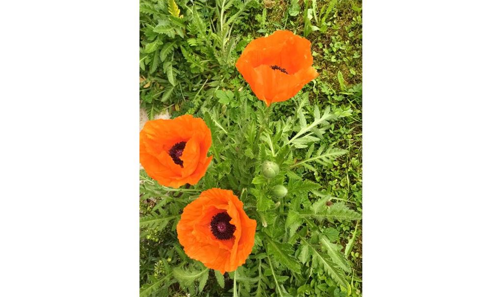 Sommerzeit