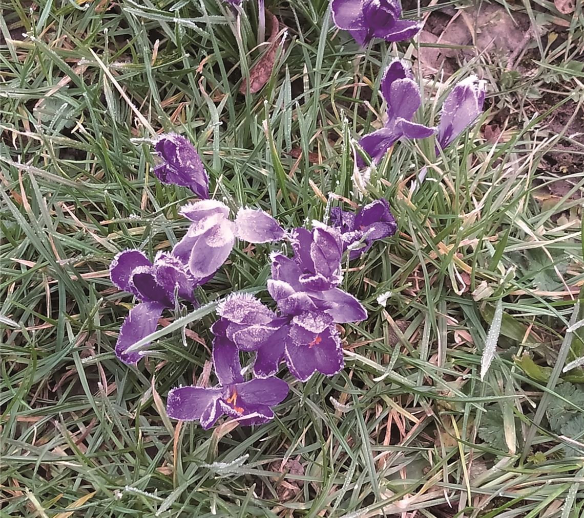 Frühlingsgefühle