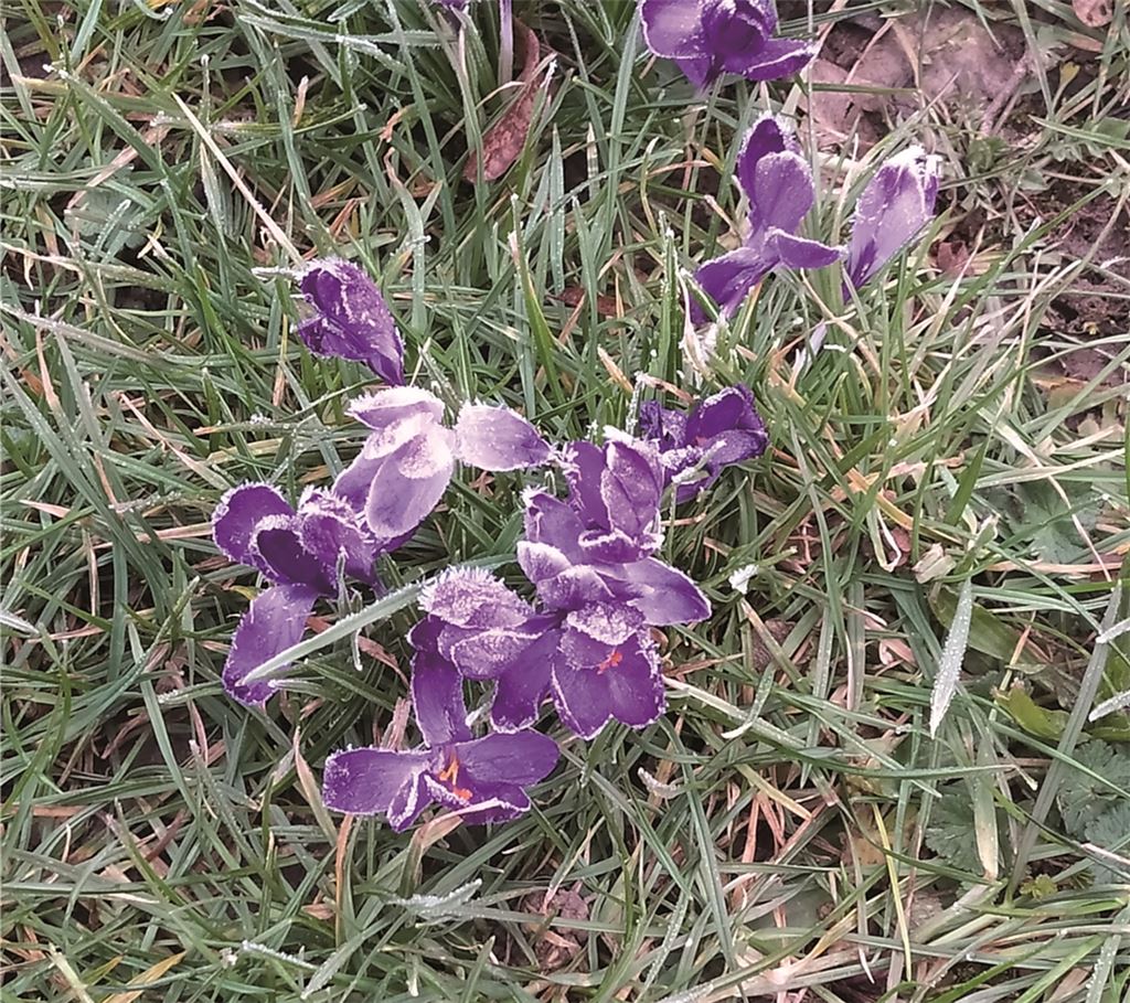 Frühlingsgefühle