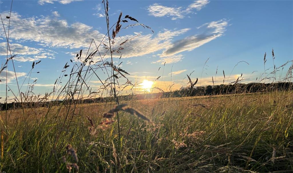 Sommerzeit