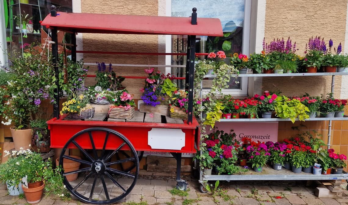Sommerzeit