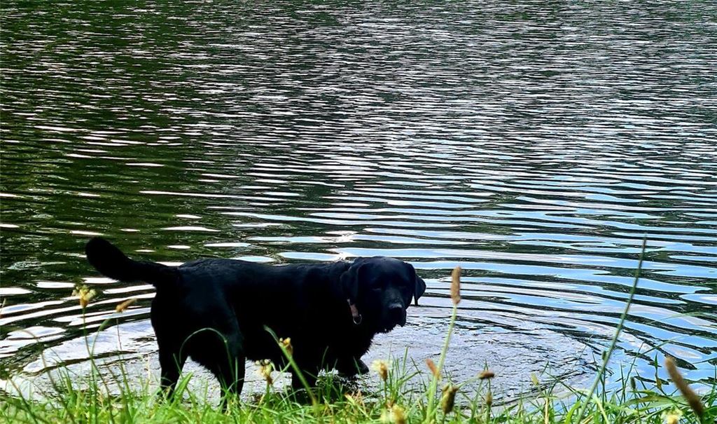 Sommerzeit