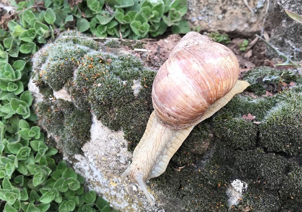 Frühlingsgefühle
