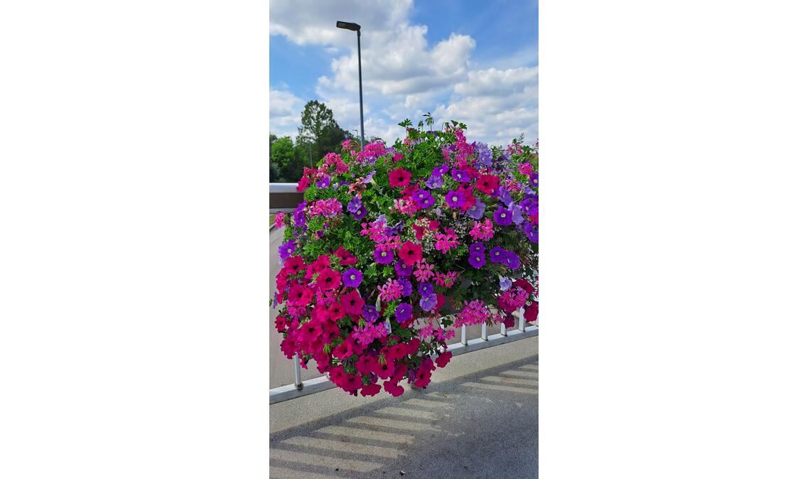 Sommerzeit Sommerzeit