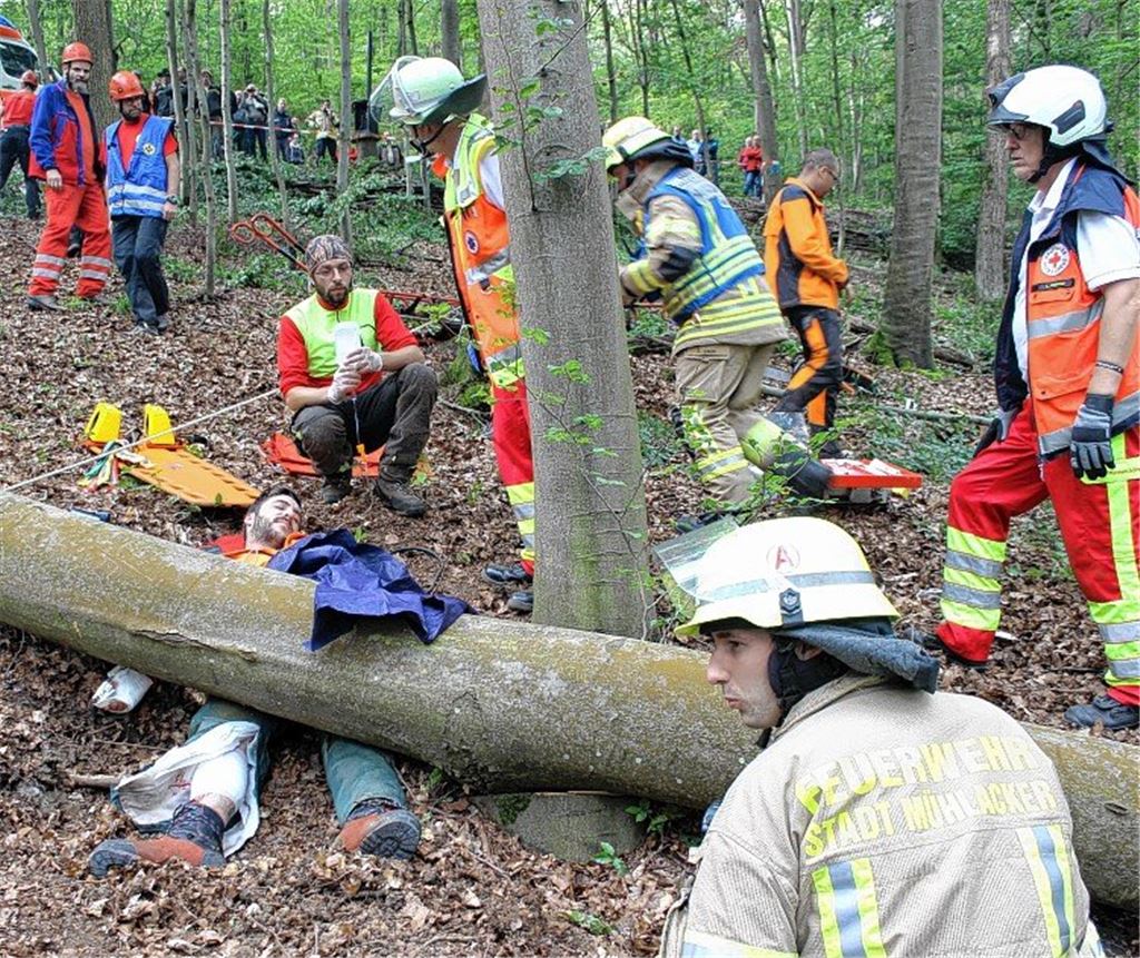 Helfer proben Ernstfall im Wald