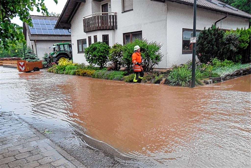 Bilder vom 1. Juni aus dem Gebiet „In den Schleifwiesen“ in Iptingen.