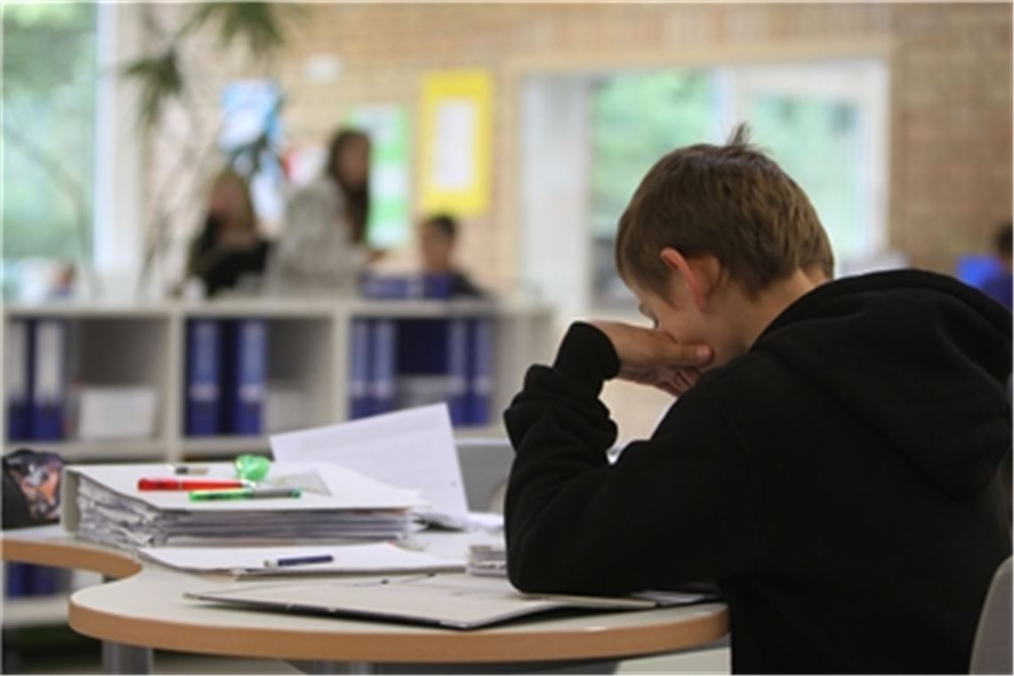 Bildungspaten werden in Mühlacker und den umliegenden Gemeinden in Zusammenarbeit mit Schulen und Kindergärten eingesetzt. Gerade bei Berufsschülern ist der Bedarf derzeit hoch. Archivfoto: Disselhoff