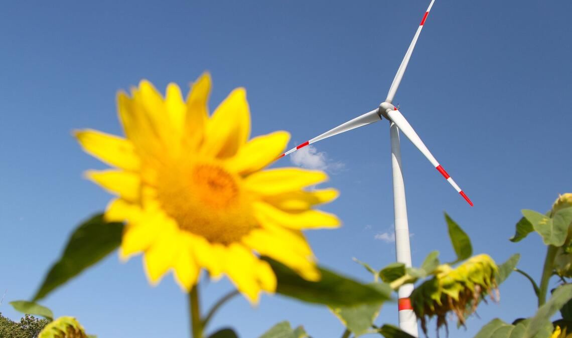 Bis 2050 will die EU klimaneutral werden. Strittig sind bislang die Zwischenschritte bis dorthin.