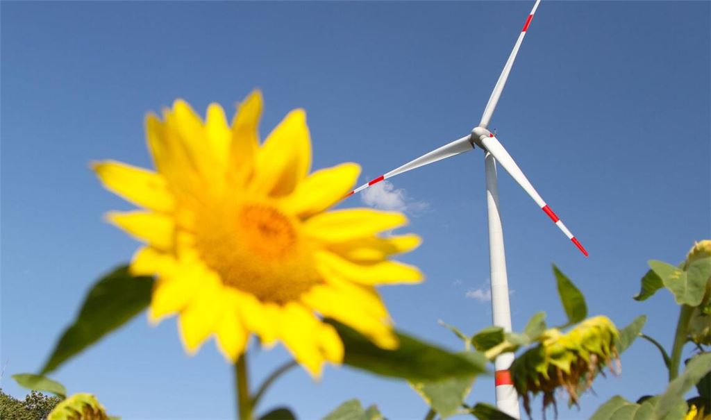 Bis 2050 will die EU klimaneutral werden. Strittig sind bislang die Zwischenschritte bis dorthin.