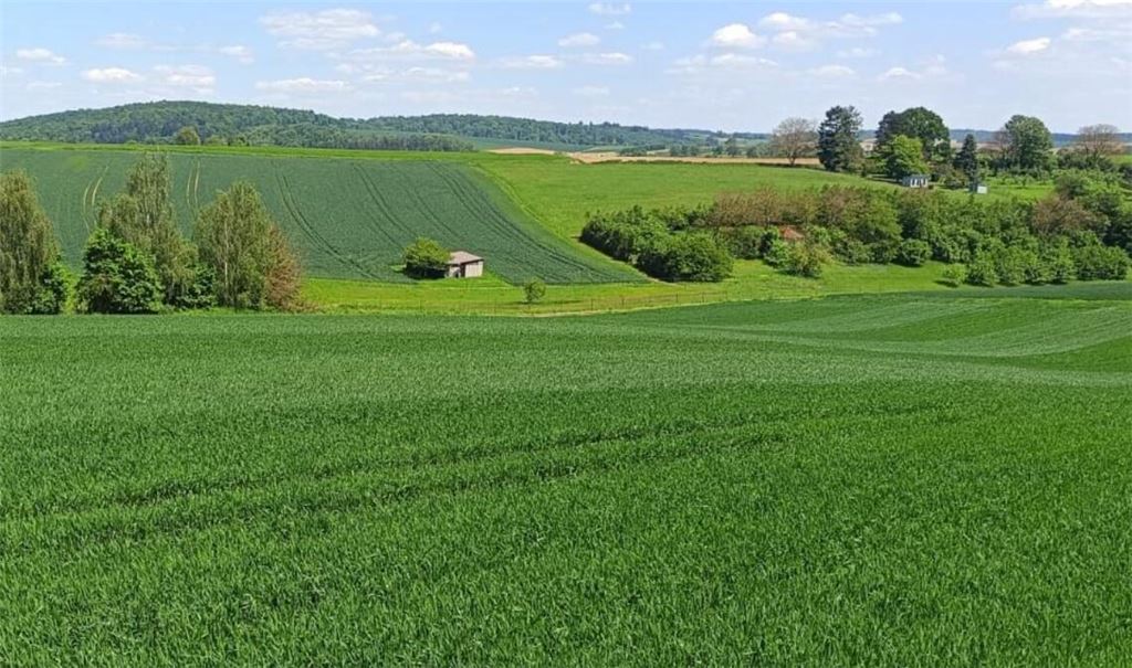 Bitte nicht betreten gilt für die Wiesen und Felder während der Vegetationszeit.Foto: Enzkreis/Franziska Fuchs