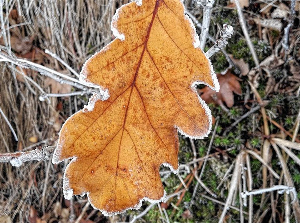 Winterzeit Winterzeit
